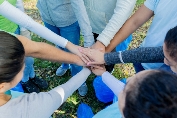 participate Participate